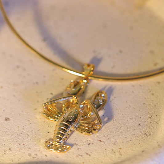 Aro Rígido Lobster